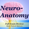 Neuroanatomy Exam Review-8100 Flashcards Study Notes, Terms & Quizzes