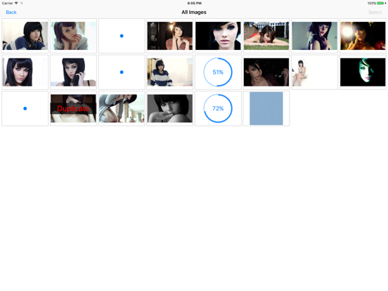 Screenshot #5 pour Photofile - Web image browser et photo downloader
