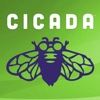 Cicada Magazine: Teen life in comics and stories