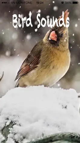 Game screenshot Bird Sounds -Bird relax,sleep Sounds mod apk