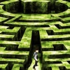 Maze Runner Labyrinth 3D : Free Maze Game