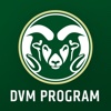 DVM Program