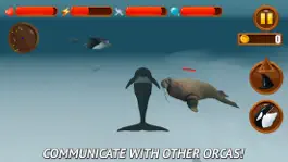 Game screenshot Angry Killer Whale: Orca Simulator 3D hack