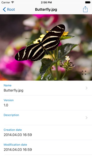 Sense/Net(圖2)-速報App