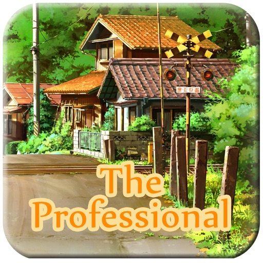 The Professional