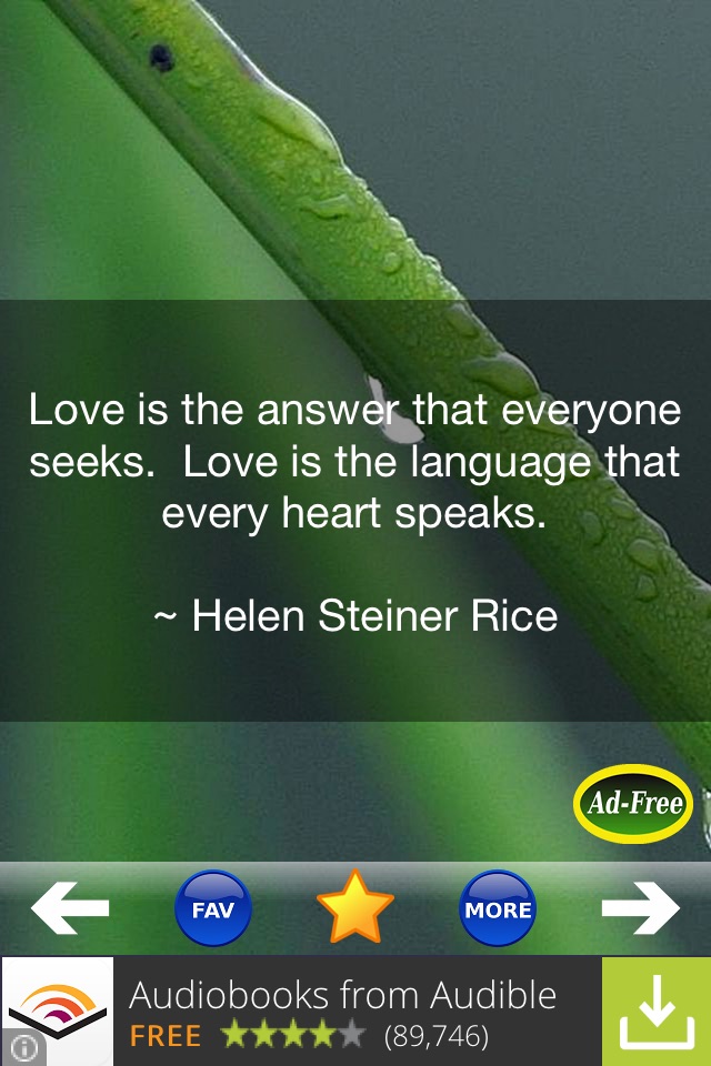 Love Quotes and Sayings! screenshot 3
