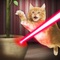 This app is intended for entertainment purposes only and does not provide true Laser