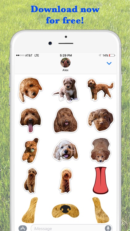 Louie - Dog Stickers for iMessage
