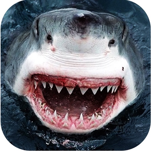 2016 Shark Attack Simulator Pro