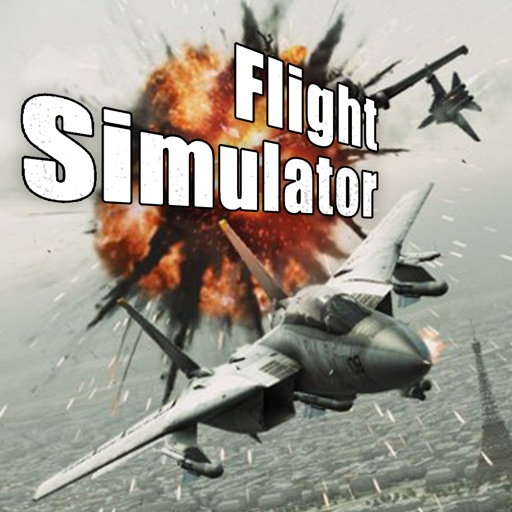 Battle of Britain 2: Wings of Victory Flight Sim iOS App