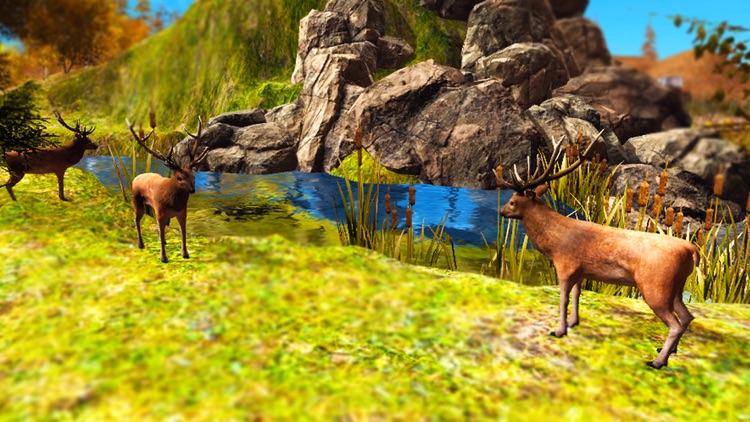 Deer Hunting Sniper Shooting Animal Hunter 2017 screenshot-4