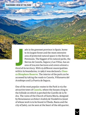 Jaén Paraíso Interior Magazine screenshot 3