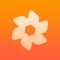 The Vector Converter will convert your vector or image files to and from nearly any format