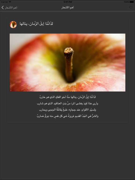 ديوان أبو العلاء المعري iPad screenshot