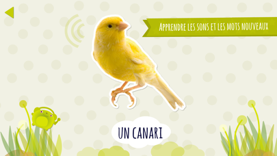 Screenshot #1 pour Domi Domi Listen And Guess Lite - Ecoute et Devine