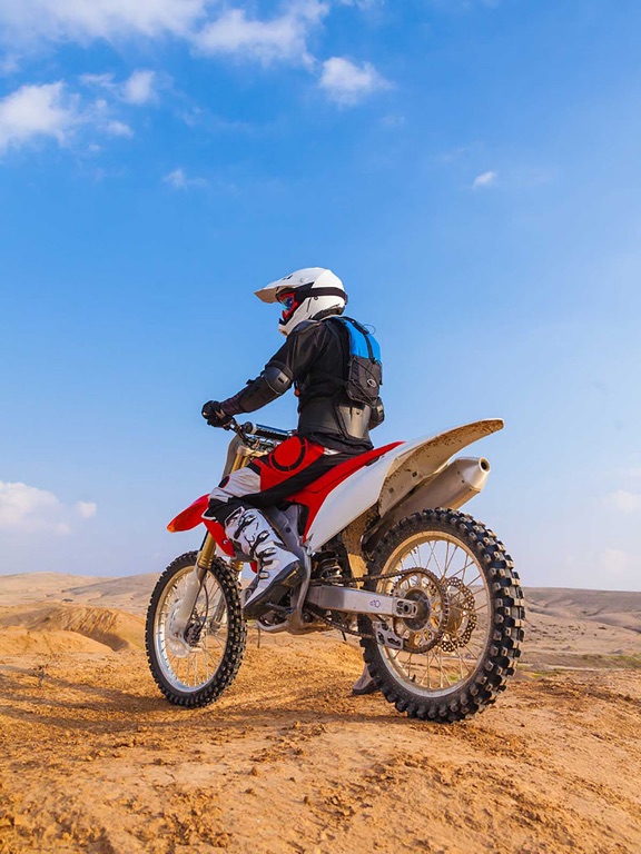 Kids Animal Games:toddler learning flashcards Free iPad screenshot 5 - Games app