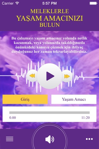 Yaşam Amacı screenshot 2