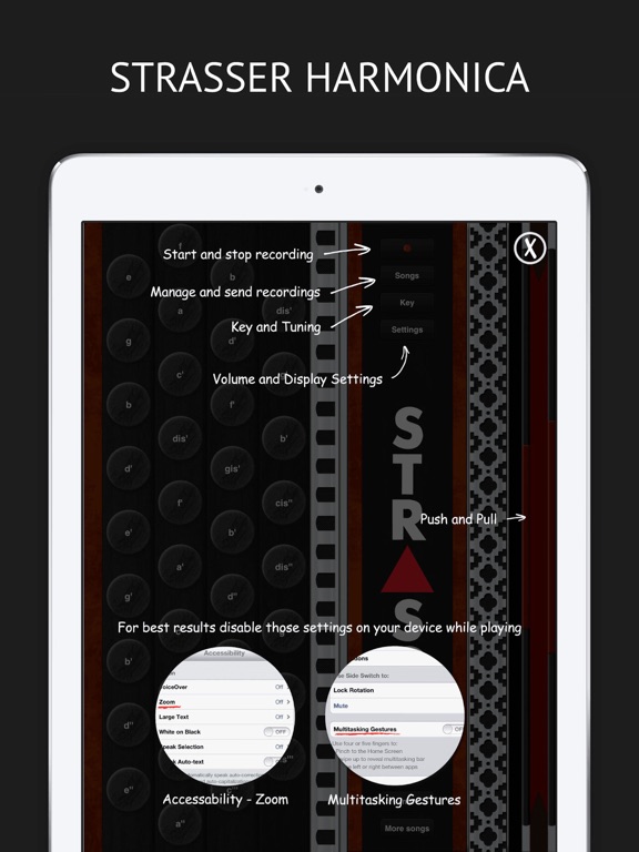 Strasser Harmonika iPad screenshot 4 - Music app