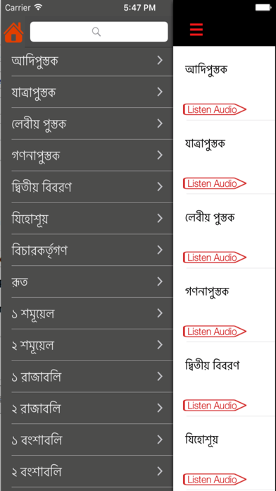 Bengali Bible (Audio) iPhone screenshot 4 - Book app
