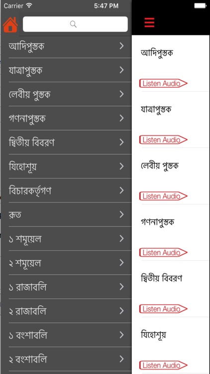 Bengali Bible (Audio) screenshot-3