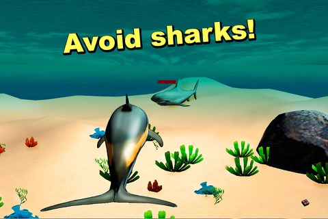 Sea Simulator: Dolphin 3D screenshot 3