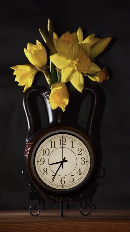 My Own Clock screenshot-3