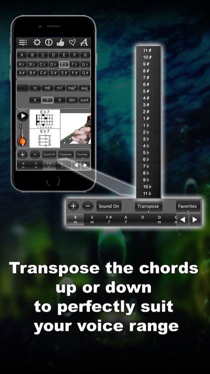 120 Mandolin Chords
