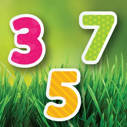 Numbers and Counting Читы