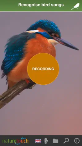 Game screenshot Identify live bird songs apk