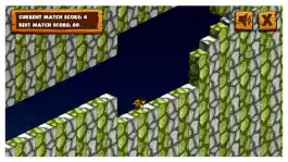 Game screenshot Ninja Run Gravity Switch - Endless switch runner apk