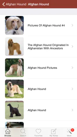 Game screenshot 1,337 Dog Breeds,Veterinary apk