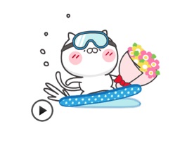 The bear and the cat, they loves Snowboarding and Ski