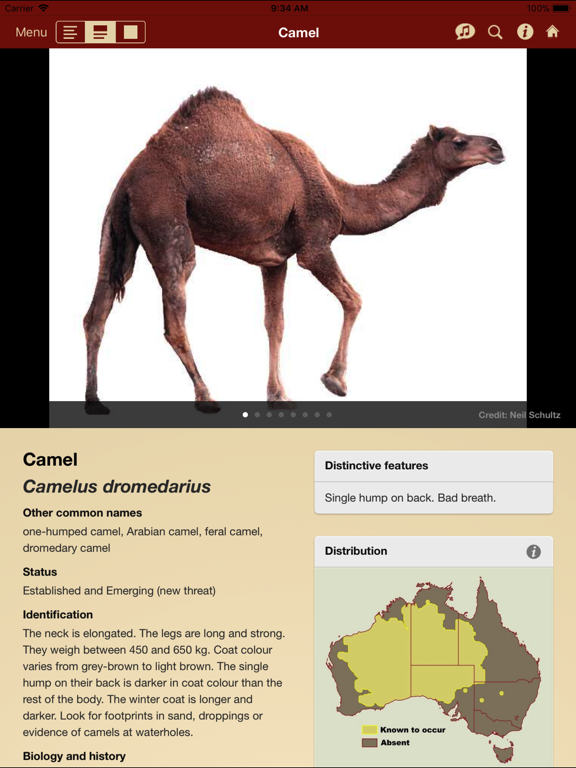 Screenshot #6 pour Field Guide to Pest Animals