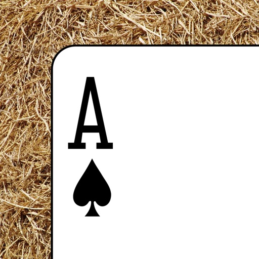 Haystack Solitaire iOS App