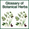 Glossary of Botanical Herbs