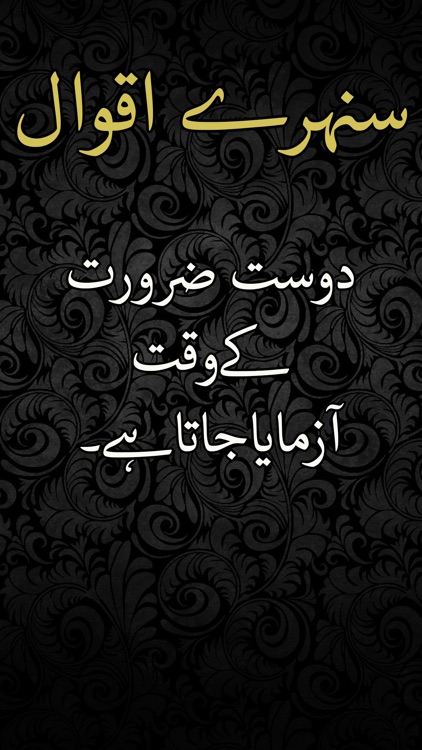 Good Quotes in Urdu - Beautiful & Wise Collection screenshot-4