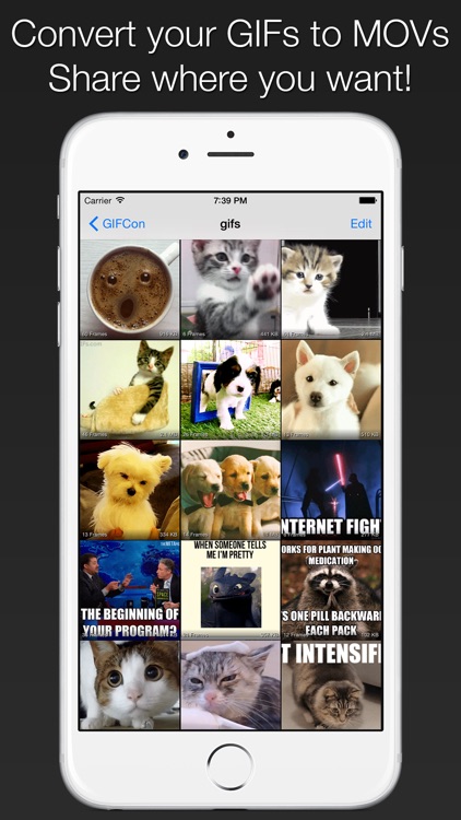 GIFCon - Convert GIFs to video