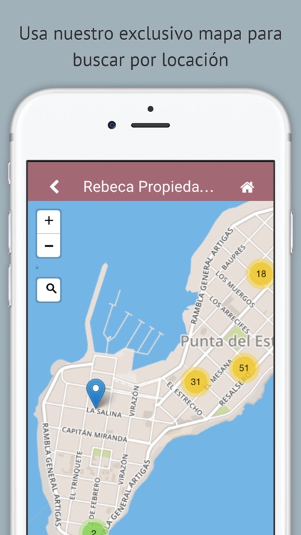 Rebeca Propiedades Inmobiliaria screenshot-4