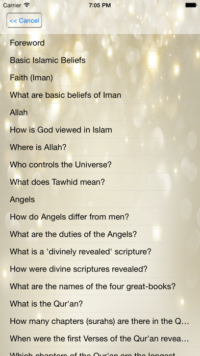 Screenshot #2 pour What is The Islam?