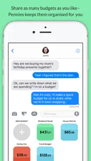 pennies mini - share budgets with your friends iphone screenshot 2