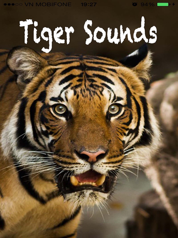 Screenshot #4 pour Tiger Sounds - Tiger Sounds for Kids