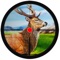 Sniper Deer Bow Hunter Shooting : Beast Jungle Wild Animal Reloaded