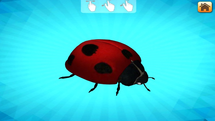 MAPPI 3D POPUP CARD screenshot-4