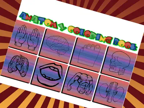 Anatomi & Fisiologi Lukisan Untuk Kanak-kanak