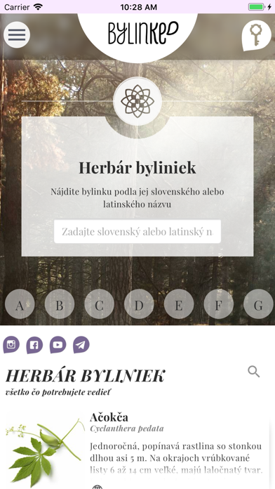 BylinKE screenshot 2