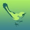 Bird Quick List provides a simple and quick way to keep of list of the Australian birds you see whilst bird watching