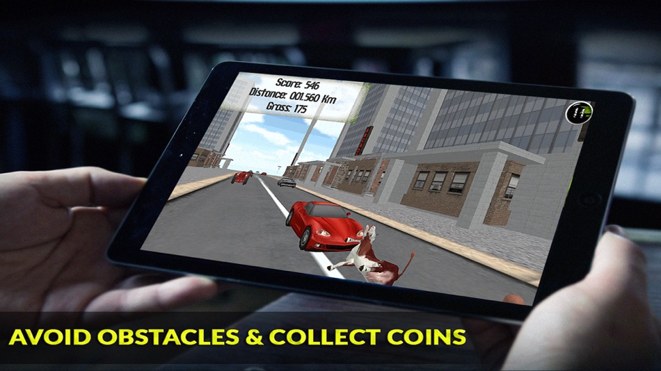 #2. Buffalo Run: Endless Running In Eid Mandi at Top Speed or Get Slaughtered by Butcher (iOS) Podle: Muddy Apps