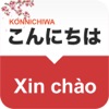 Vietnamese Japanese Dictionary