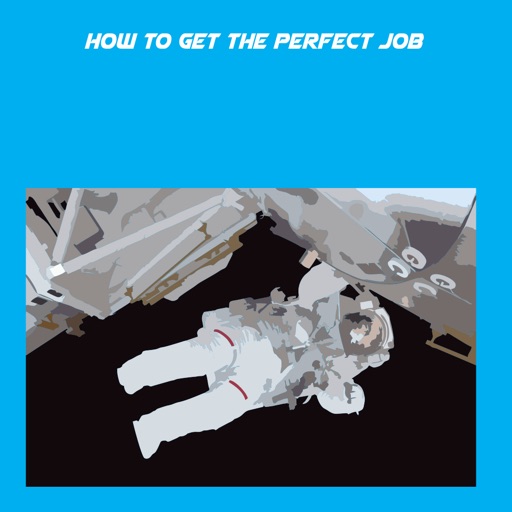 How To Get The Perfect Job+ icon