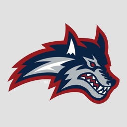 Stony Brook Game Day